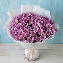 Букет цветов из:  Хризантемы #REPLACE_PRED# Менделеевске