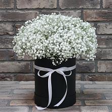 Цветочная композиция из Гипсофила в шляпной коробке #REPLACE_PRED# Менделеевске
