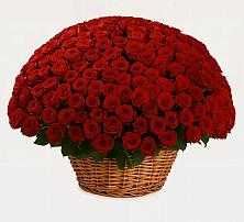 Премиум букет из: Розы #REPLACE_PRED# Менделеевске